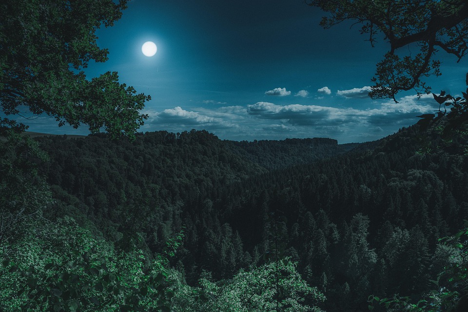 Mond